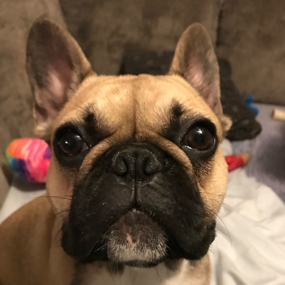 Meet your Posher, Chrissy - Picture 1 of 1